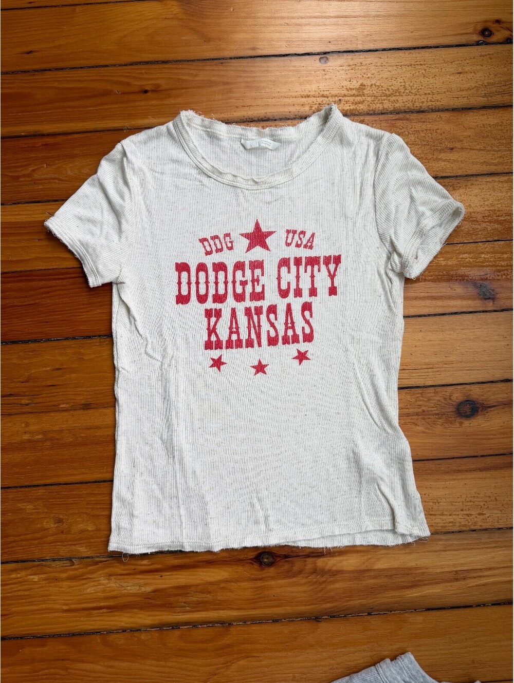 Zara T-Shirt Tee Dodgy City Kansas Small